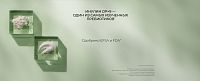 Функциональный напиток BotanIQ Prebiotic Shot для улучшения работы кишечника шоу-бокс 4 х 100 мл